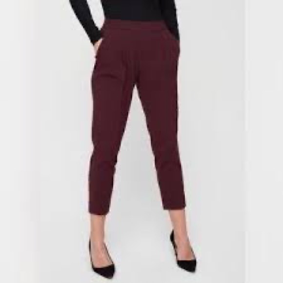 Aritzia Pants - Aritzia Babaton Bi-Stretch Pants NWT
